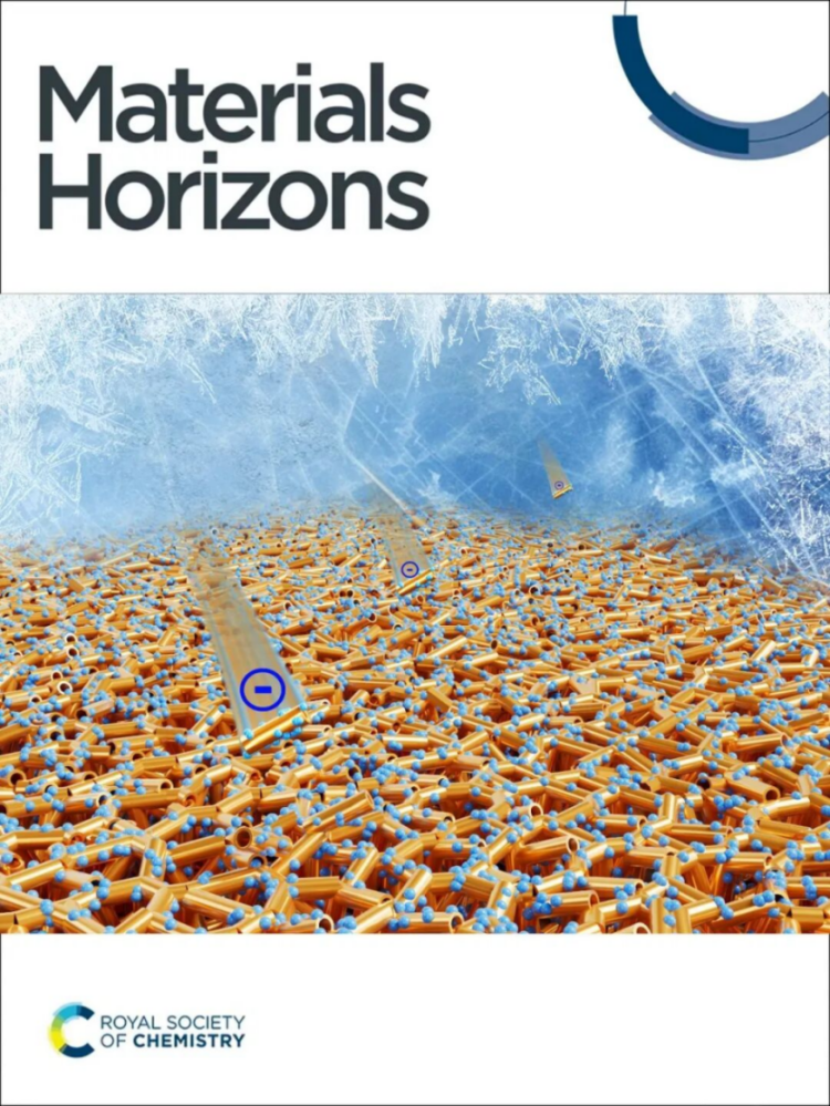 浩力森&times;東南大學(xué)合作成果-《Materials Horizons》內(nèi)封面250